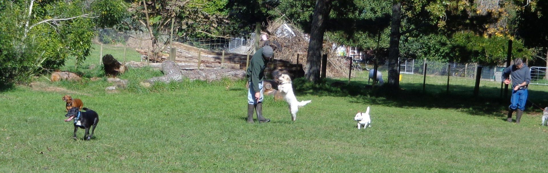 Kennel Waikato, NZ Brackendell Boarding Kennels & Cattery